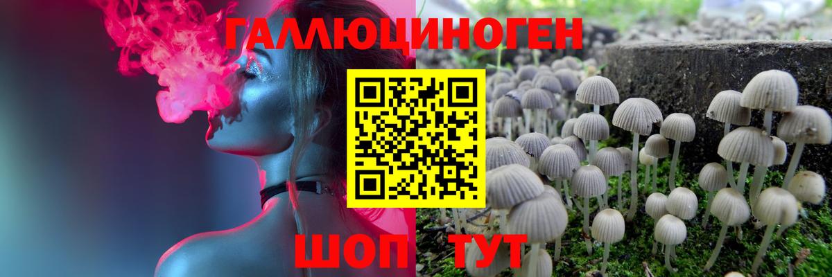 Урюпинск  Галлюциногенные грибы Psilocybine cubensis  Вход с VPN 